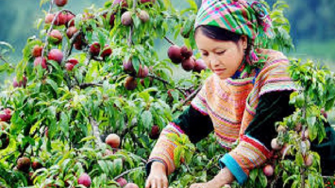 Coz phính miền Việt Nam nhây lầy tzình páo dung thứ 6 hoi 13.4.2018