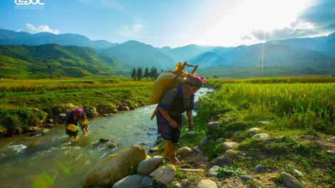 Phai paz nhây phiến