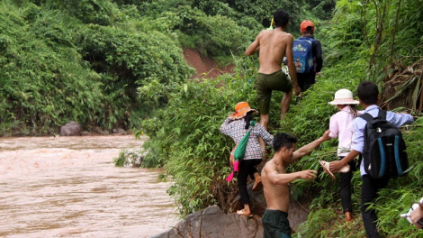 Phai paz nhây phiến