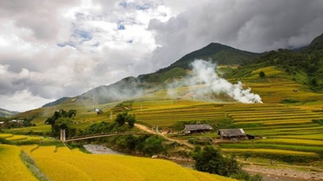 Phai paz nhây phiến