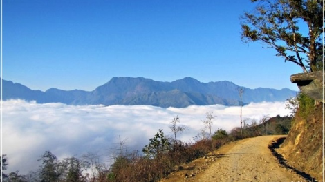 Phai paz nhây phiến