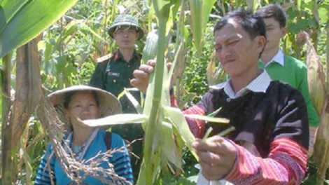 Câuz congz duốn làn bí thư chi bộ láng Cón tuz miền màn xiến miền màn hắm​