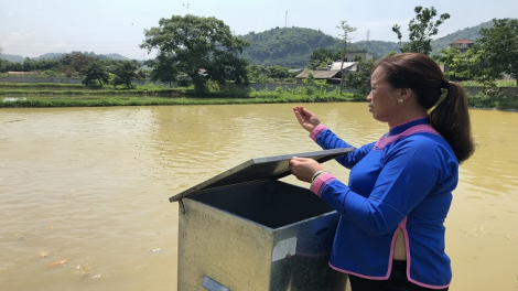 Làn nhiếu miền ziêm Lào Cai tzỏn tuz nhàn tỷ láy mải biáo puônz