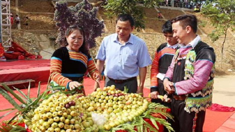 Thóng piều dìm tzụa ziêm tẩy hang Bắc Yên, Sơn La