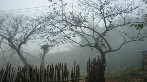 Phai paz nhây phiến