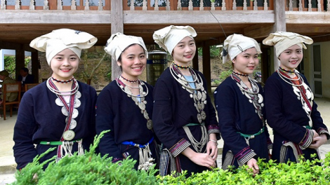 Lầy tzình khzáng ca páo dung 15 puân chủ nhật   hnoi 4/11/2018