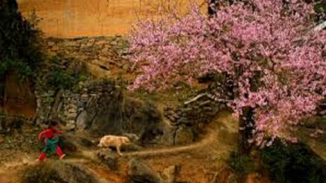 Coz phính miền Việt Nam nhây lầy tzình páo dung thứ 3 hoi 6..2018