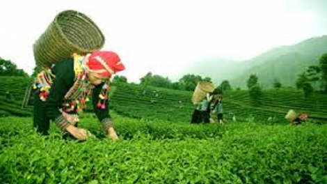 Coz phính miền Việt Nam nhây lầy tzình  páo dung thứ 3 hnoi 25/9/2018