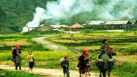 Phai paz nhây phiến