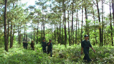 Lầy tzình ló hiuz pháp lâyz