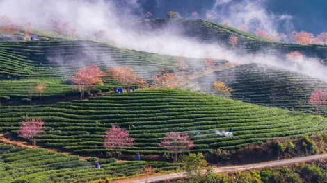 Phai paz nhây phiến thứ 3, hnoi 26/11/2019