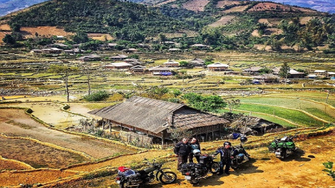 Phai paz nhây phiến