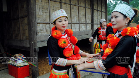 Lầy tzình  phát sinh ìu miền vả thứ 5, 07/11/2019