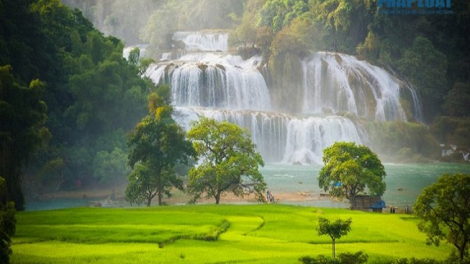 Phai paz nhây phiến