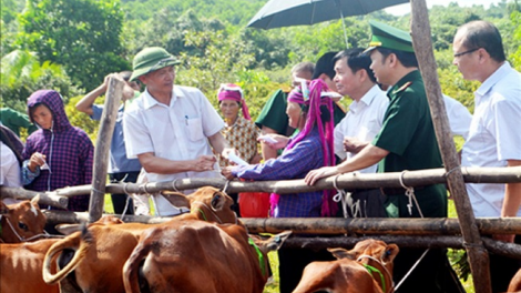 Coz chỉ tiêu tzụ tzấu tuz tháo hiáng 2020