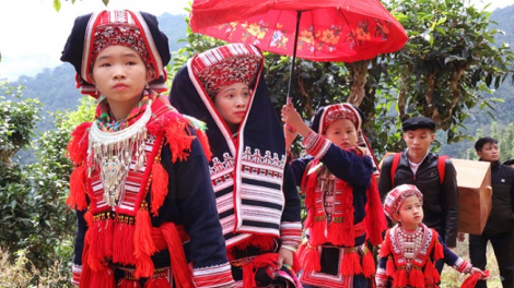 Lầy tzình páo dung thứ 3 hoi 2/4/2019