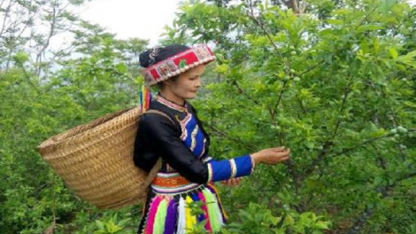 Làn ừu miền tzấu hiàng thzun hênz