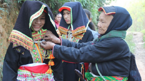 Phai paz nhây phiến