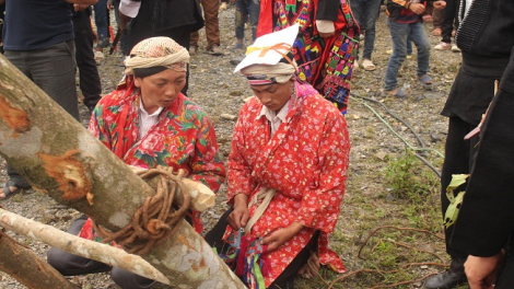 Lầy tzình phát sinh ìu miền vả thứ 2, hnoi 10/06/2019