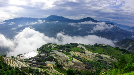 Phai paz nhây phiến