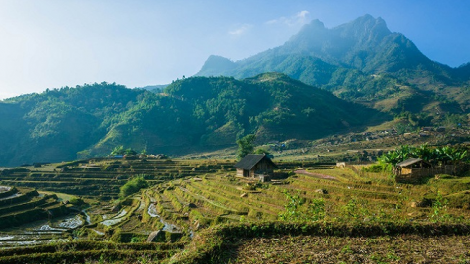 Phai paz nhây phiến