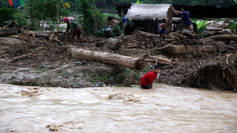 Phai paz nhây phiến