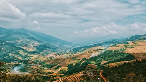 Phai paz nhây phiến