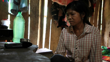 Phai paz nhây phiến