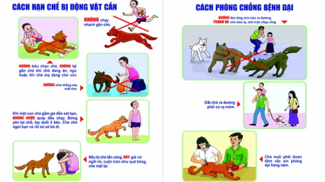 Coz chiếu vả nải duốn ziếp vắc xin bùng tangz pút đin pảnh 2