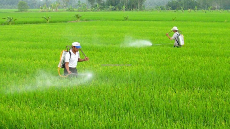 Lổng đia xiêuz mảng cành tzuống tzấy chaoz