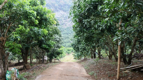 Sơn La: Tzuống điáng nhản piêuz ziêm đao chúi mài nhuồn xiêu quýa đảng 500 tzỉu nhàn 1 hiáng