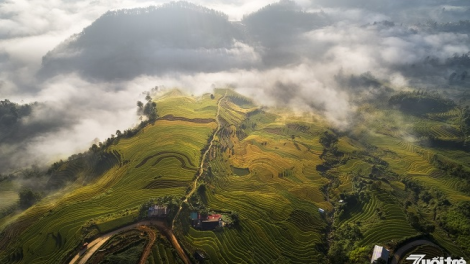 Phai paz nhây phiến