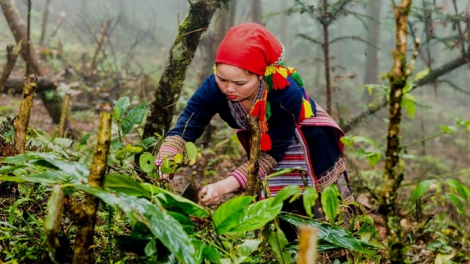 Lầy tzình phát sinh ìu miền vả thứ 6 hoi 6/12/2019