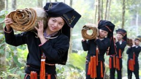 Lầy tzình  páo dung  thứ 3, hnoi 16/04/2019