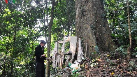 Lầy tzình phát sinh ìu miền vả thứ 7 hoi 9/3/2019