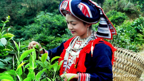 Phai paz nhây phiến thứ 6 hnoi 27/11/2020