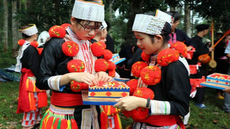 Phai paz nhây phiến thứ 4, hnoi 10/5/2020