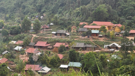 Phai paz nhây phiến