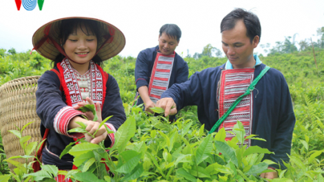 Trếu Tạ Vủi- Bí thư chi bộ ìu miền láng  tzấu nhản zói