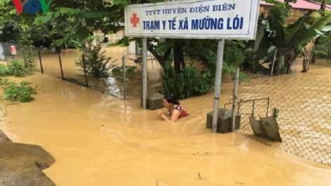 Phai paz nhây phiến