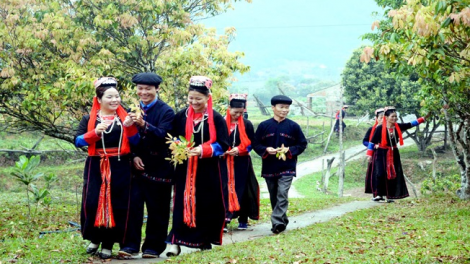 Lầy tzình páo dung thứ 3 hoi 6/10/2020