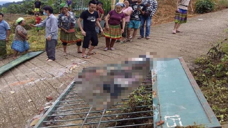 Phai paz nhây phiến