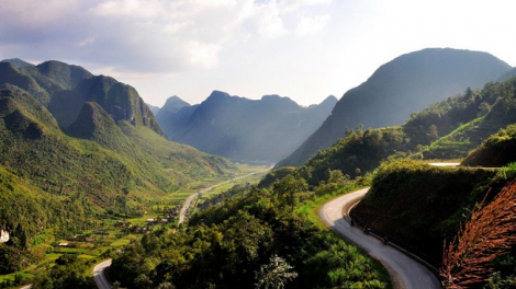 Phai paz nhây phiến