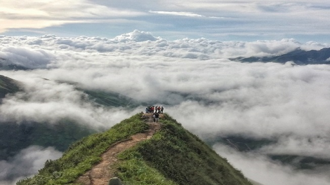 Phai paz nhây phiến