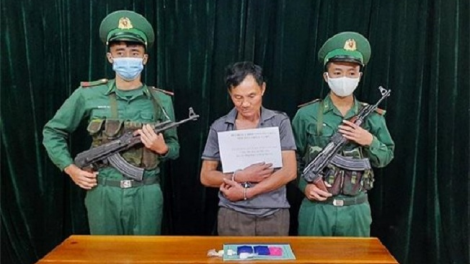 Phai paz nhây phiến