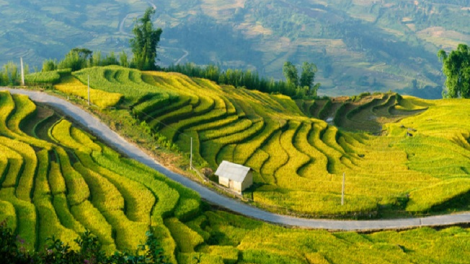 Lầy tzình páo dung hoi 21/12/2021