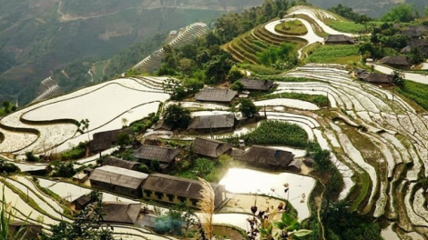 Phai paz nhây phiến