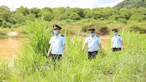 Phai paz nhây phiến