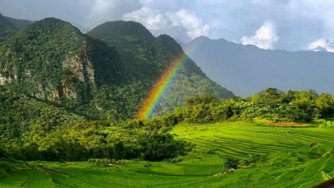 Phai paz nhây phiến