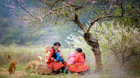 Phai paz nhây phiến